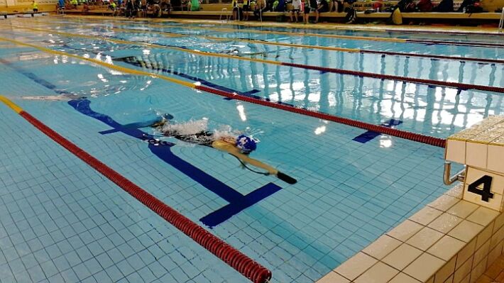 [RESULTS] Finswimming Nemo Trophy 2018 - Czech Republic - Finswimmer ...