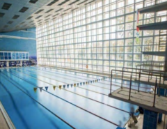 🇷🇺 Golden Fin Finswimming Competition in Novosibirsk 2024, Finswimmer Magazine - Finswimming News